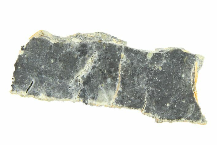 Lunar Meteorite ( g) Slice - Bechar #291697